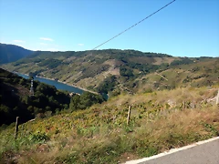 DSCN1425 DSCN1425