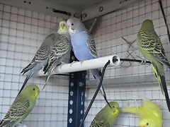 DSC01345