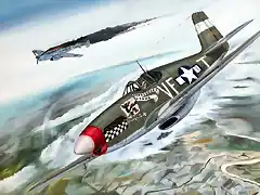 P-51C Don Gentile vs Bf.110