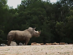 Zoo Lunaret + Sigean 18 i 19-09-10 246 Zoo Lunaret + Sigean 18 i 19-09-10 246