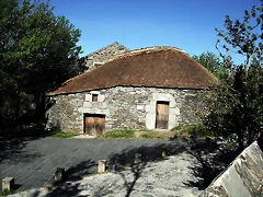 DSCF2472 DSCF2472