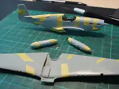 P51B (25)