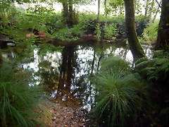 DSCN8411