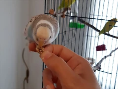20180905_151305