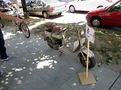 IMG_0786 IMG_0786