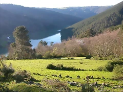DSCN0437 DSCN0437