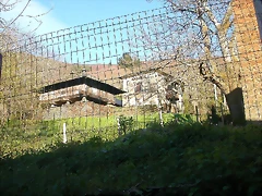 DSCN0447 DSCN0447