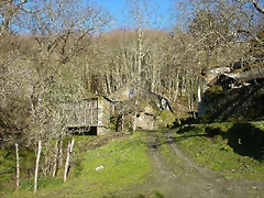 DSCN0459 DSCN0459
