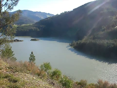 DSCN0376 DSCN0376
