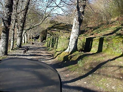 DSCN0423 DSCN0423