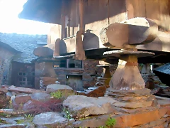 DSCN0449 DSCN0449