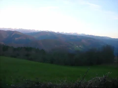 DSCN0486 DSCN0486