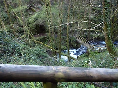 P4138308 P4138308