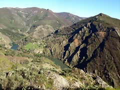 P4138316 P4138316