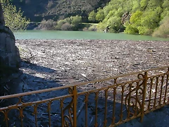 DSCN0353 DSCN0353