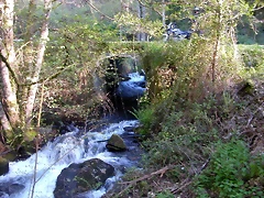 DSCN0387 DSCN0387