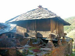 DSCN0450 DSCN0450