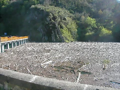 DSCN0352 DSCN0352