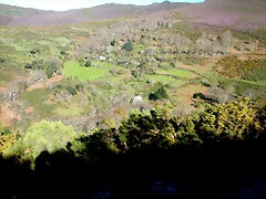 DSCN0415 DSCN0415