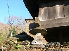DSCN0454 DSCN0454