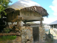 DSCN0277 DSCN0277