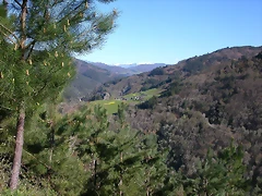 DSCN0307 DSCN0307