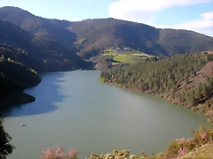 DSCN0393 DSCN0393