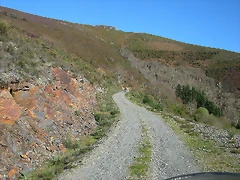 DSCN0410 DSCN0410