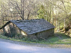 DSCN0384 DSCN0384