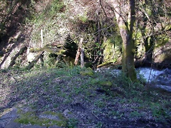 DSCN0385 DSCN0385