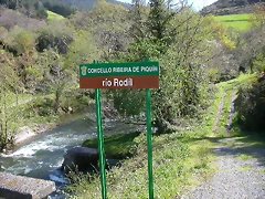 DSCN0250 DSCN0250