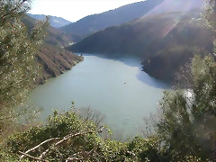 DSCN0397 DSCN0397