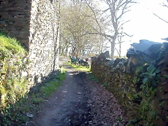 DSCN0432 DSCN0432