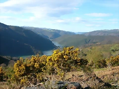 DSCN0421 DSCN0421
