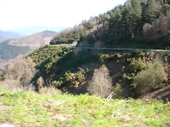 DSCN0288 DSCN0288