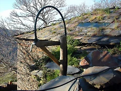 DSCN0426 DSCN0426