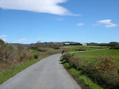 DSCN0265 DSCN0265