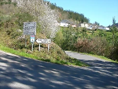 DSCN0319 DSCN0319