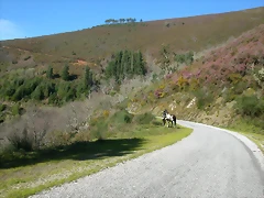 DSCN0395 DSCN0395