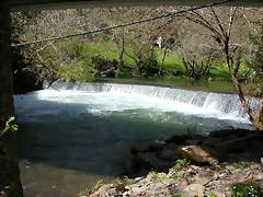 DSCN0245 DSCN0245