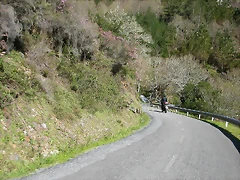 DSCN0314 DSCN0314