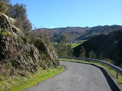 DSCN0317 DSCN0317