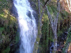 DSCN0331 DSCN0331