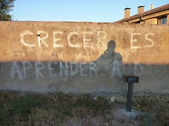 P1070605 P1070605