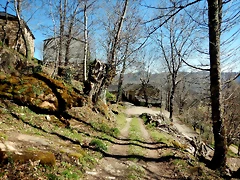 DSCN3768 DSCN3768