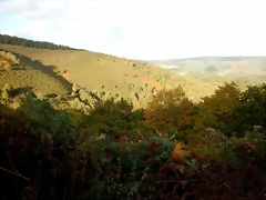 DSCN8464
