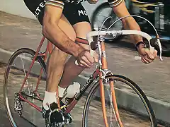 1973MERCKX-MOLTENI.