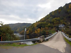 DSCN9878 DSCN9878