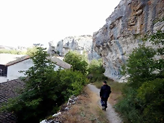 DSCN6533