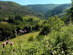 DSCN9549'5 DSCN9549'5